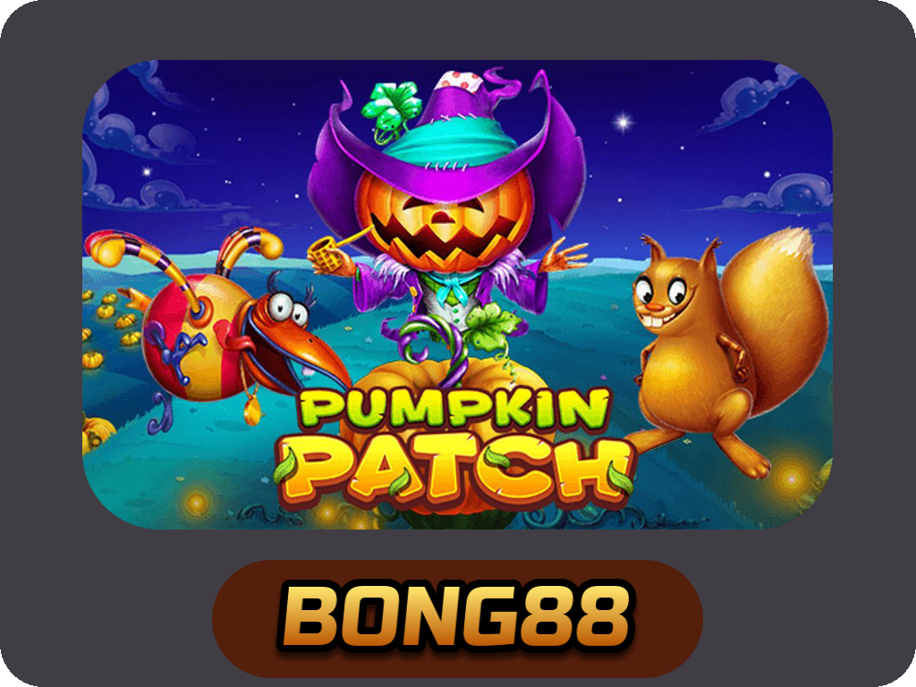 Pumpkin Patch